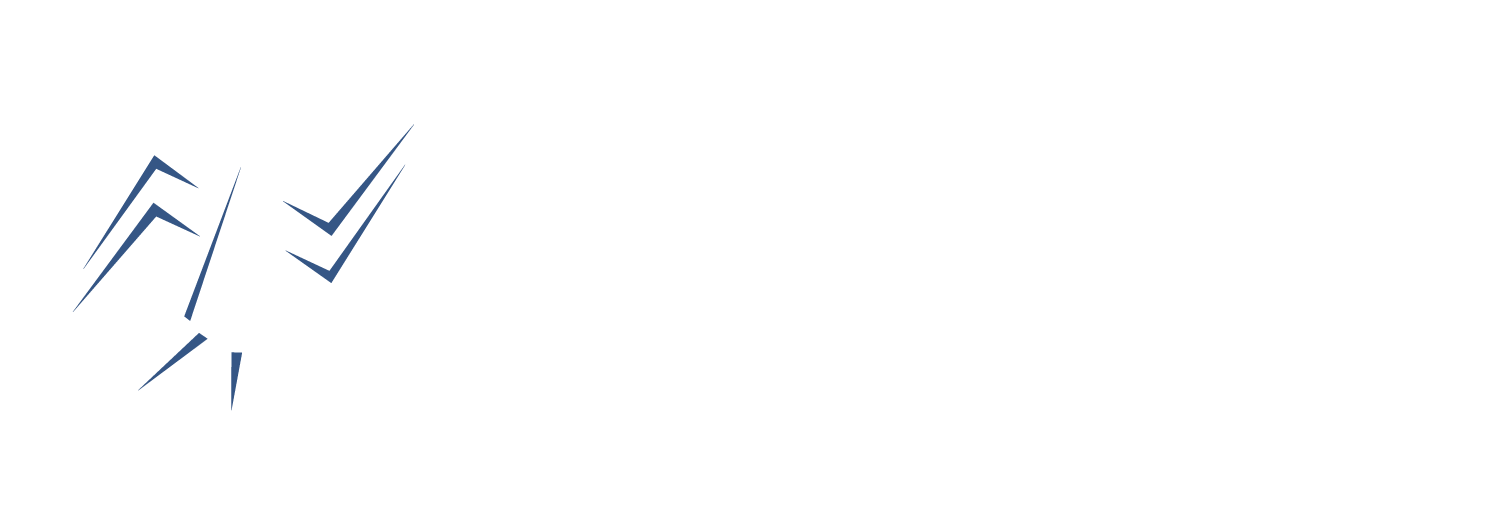 phoenix investments group llc